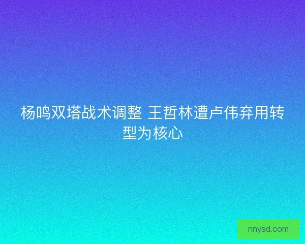 杨鸣双塔战术调整 王哲林遭卢伟弃用转型为核心