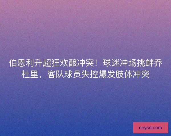 伯恩利升超狂欢酿冲突！球迷冲场挑衅乔杜里，客队球员失控爆发肢体冲突